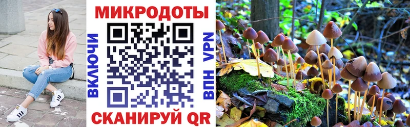 наркотики  Мурино  Галлюциногенные грибы прущие грибы 