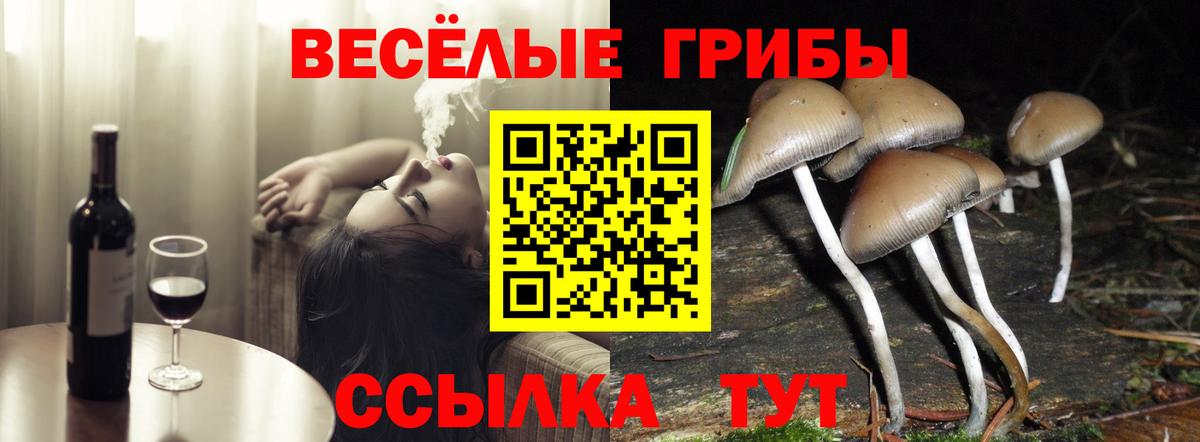 Мурино  Псилоцибиновые грибы Cubensis  Вход с VPN  закладка  Галлюциногенные грибы мухоморы 