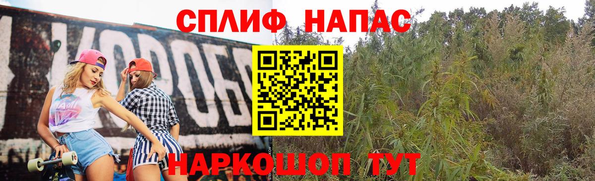 Марихуана Amnesia Мурино
